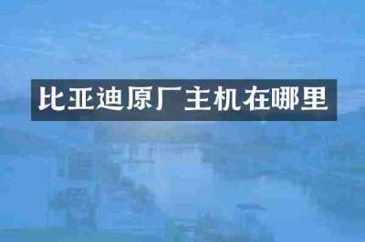 比亚迪原厂主机在哪里