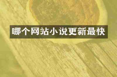 哪个网站小说更新最快