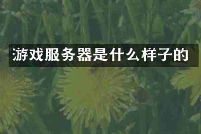 游戏服务器是什么样子的