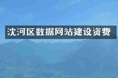 沈河区数据网站建设资费