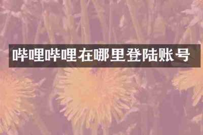 哔哩哔哩在哪里登陆账号