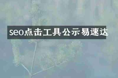 seo点击工具公示易速达