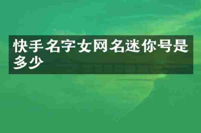 快手名字女网名迷你号是多少