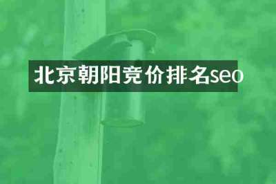 北京朝阳竞价排名seo