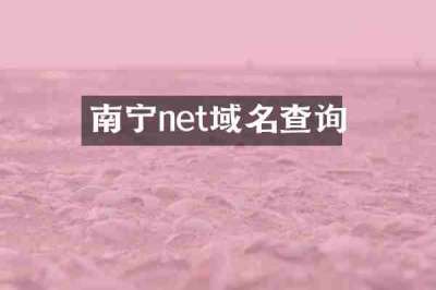 南宁net域名查询