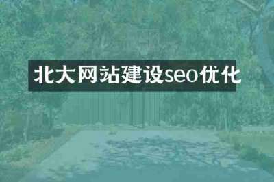 北大网站建设seo优化