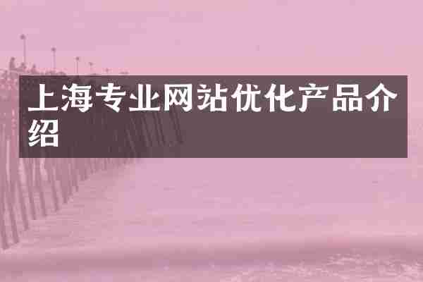 上海专业网站优化产品介绍