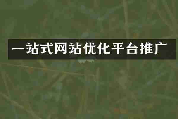 一站式网站优化平台推广
