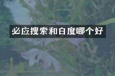 必应搜索和白度哪个好