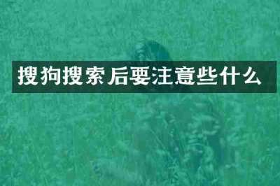 搜狗搜索后要注意些什么