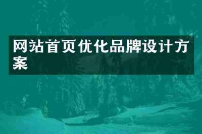 网站首页优化品牌设计方案