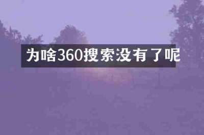 为啥360搜索没有了呢
