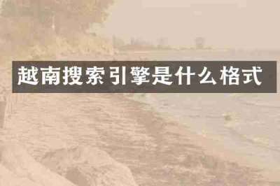 越南搜索引擎是什么格式