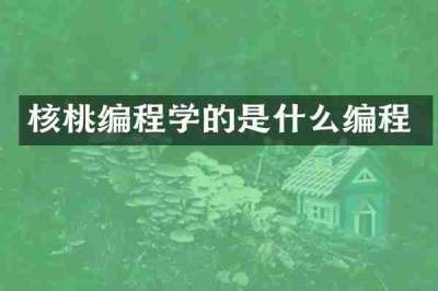 核桃编程学的是什么编程