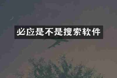 必应是不是搜索软件