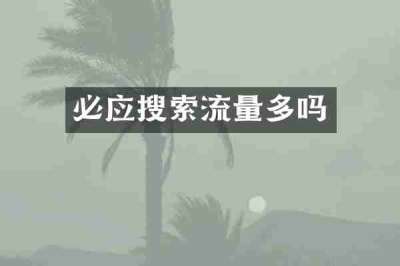 必应搜索流量多吗