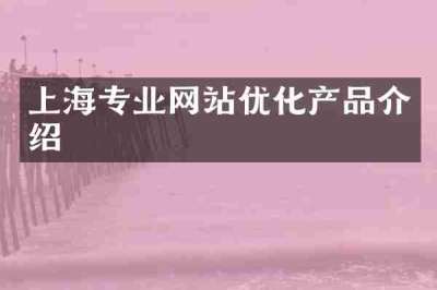 上海专业网站优化产品介绍