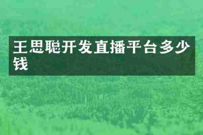 王思聪开发直播平台多少钱