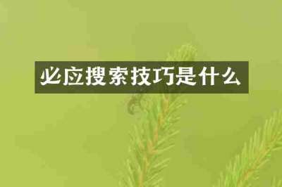 必应搜索技巧是什么