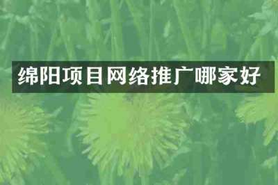 绵阳项目网络推广哪家好