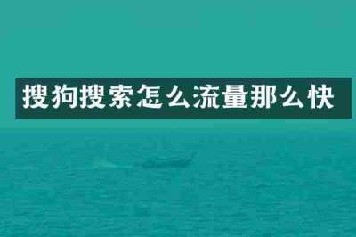 搜狗搜索怎么流量那么快
