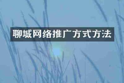 聊城网络推广方式方法