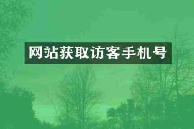 网站获取访客手机号