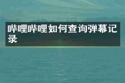 哔哩哔哩如何查询弹幕记录