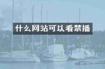 什么网站可以看禁播