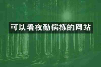 可以看夜勤病栋的网站