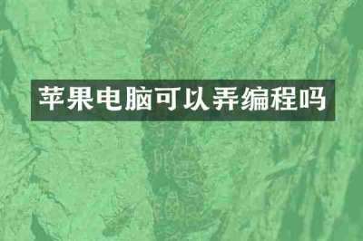 苹果电脑可以弄编程吗
