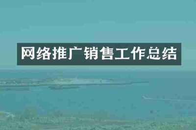 网络推广销售工作总结
