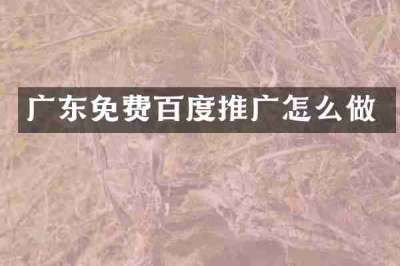 广东免费百度推广怎么做