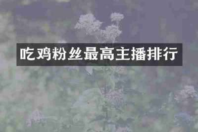吃鸡粉丝最高主播排行