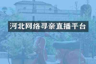 河北网络寻亲直播平台