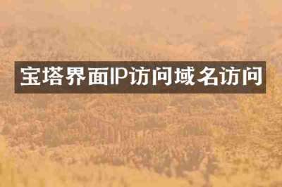 宝塔界面IP访问域名访问