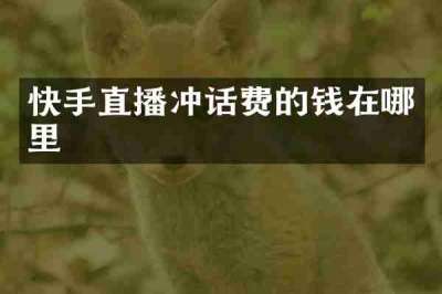 快手直播冲话费的钱在哪里