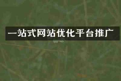 一站式网站优化平台推广