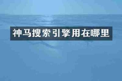 神马搜索引擎用在哪里