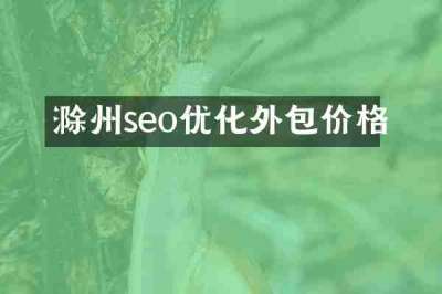 滁州seo优化外包价格
