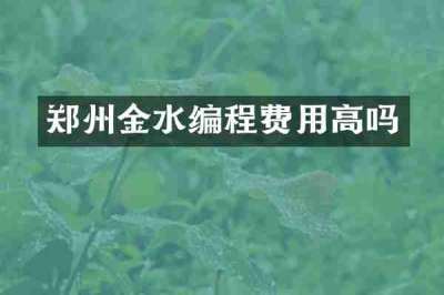 郑州金水编程费用高吗