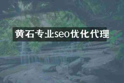 黄石专业seo优化代理