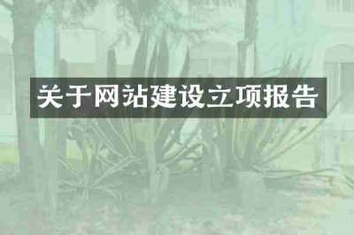 关于网站建设立项报告