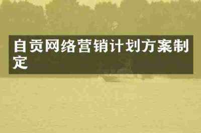 自贡网络营销计划方案制定