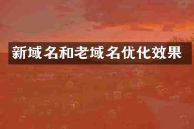 新域名和老域名优化效果