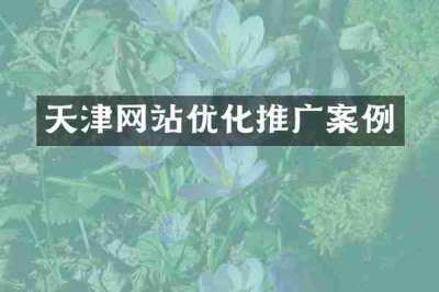天津网站优化推广案例