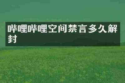 哔哩哔哩空间禁言多久解封