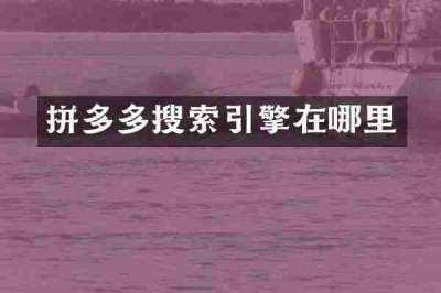 拼多多搜索引擎在哪里