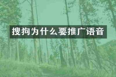 搜狗为什么要推广语音