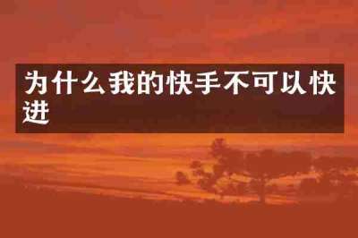 为什么我的快手不可以快进